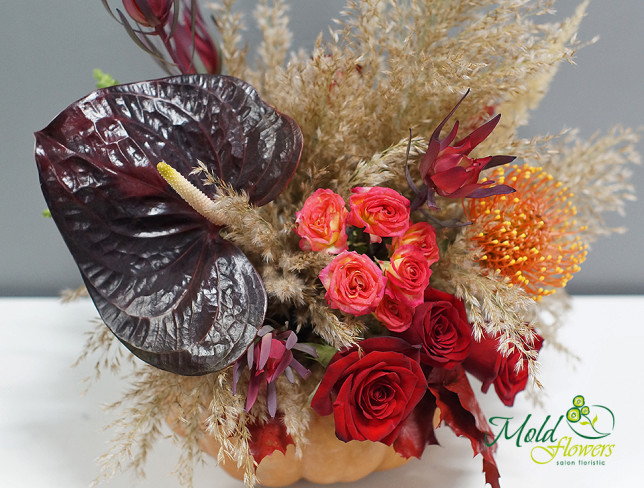 Arrangement with Red Roses, Anthurium, and Leucospermum with Pumpkin photo